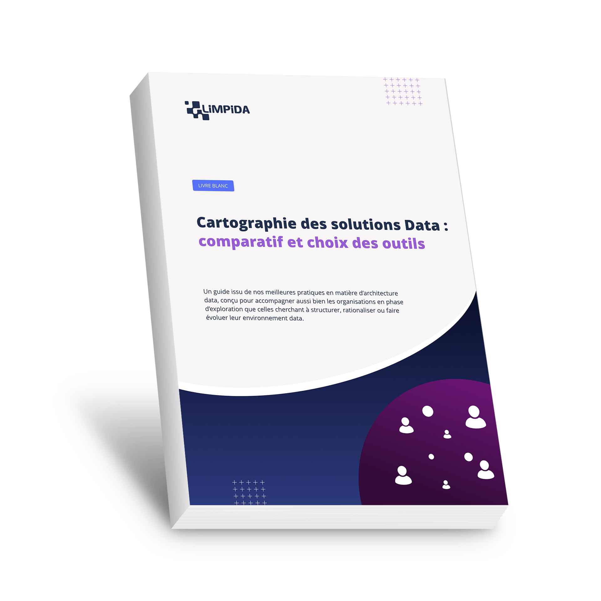 LP_LB_Cartographie des solutions data